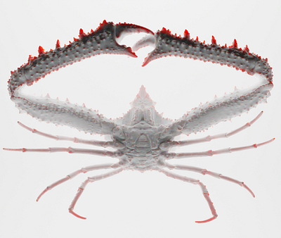 Crab 3d abstract crab design render subsurface scattering