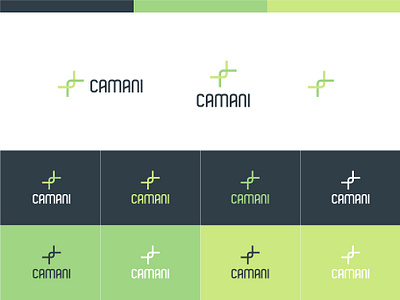 CAMANI branding design graphic design logo