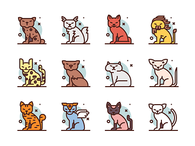 Cat Breeds cat icons illustration pet