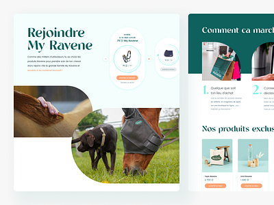 Laboratoire Ravene - Loyalty programme desktop horse interface loyalty loyalty program loyalty programme stepper steps ui ux website