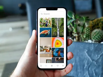 pinkrobin app concept design socialmedia ux ux des ux research