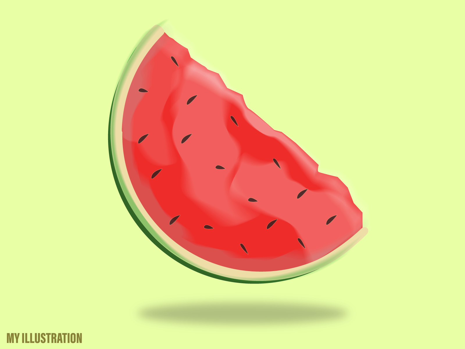 Watermelon Illustration design graphic design illustration vector