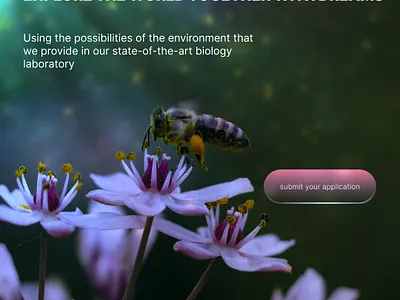 красивого дизайна лендинга в Figma animation branding design graphic design illustration logo motion graphics vector