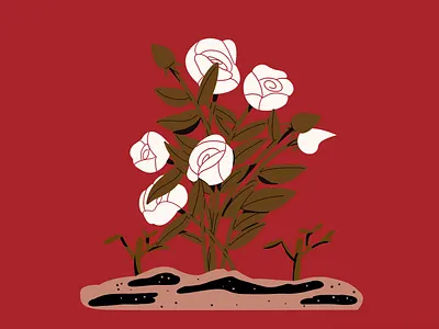 23. Sprout colorful flower flowers illustration illustrator minimal rose roses sprout vector white rose