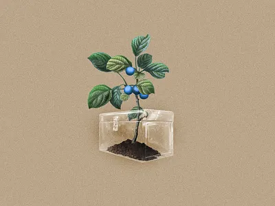 Fruits of Labor dirt fruit plant soil toolbox