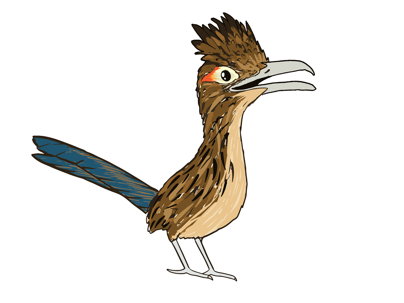 Roadrunner Character by K. Dwynwyn on Dribbble