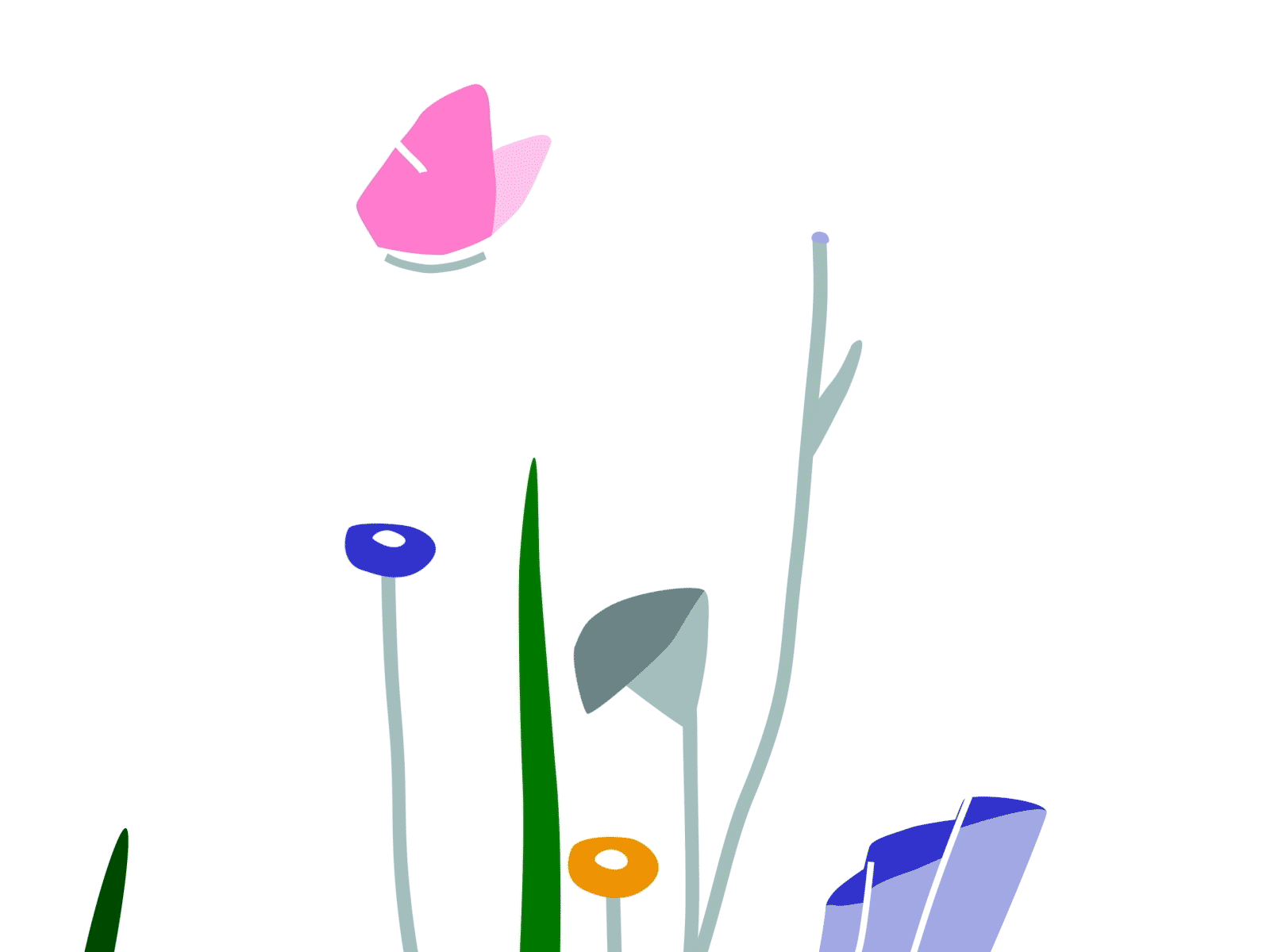 It's Spring somewhere 🌼🌷🌸🦋 2d animation animation butterfly design gif illustration motion design vector