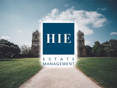 Modern, Professional Logo brand brand design brand development brand identity branding design graphic design illustration logo logo design logo development modern design modern logo type typographic design typography ui vector