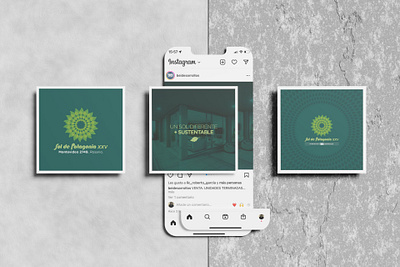 Sol de Patagonia: Social Media advertising branding graphic design illustrator instagram social media