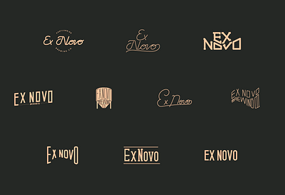 Ex Novo branding design illustration line art logo script type typography