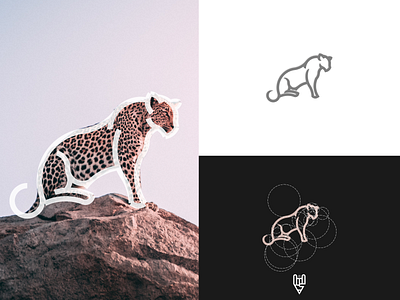 Leipard Logo Design app branding design flat golden ratio grid logo icon illustration leopard line art logo logo creator vector