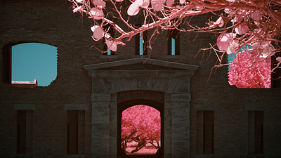 Fort Jefferson, Dry Tortugas / IR