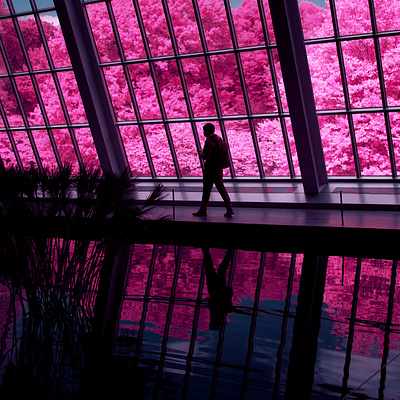 Metropolitan Museum NYC / IR