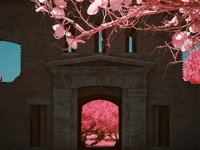 Fort Jefferson, Dry Tortugas / IR