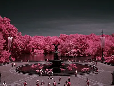 Central Park NYC / IR