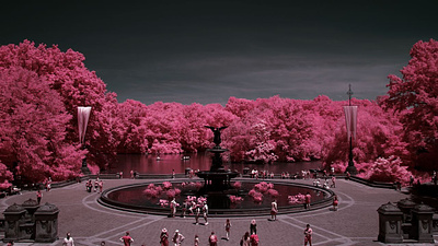 Central Park NYC / IR