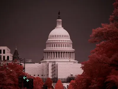 Capitol Dome DC / IR