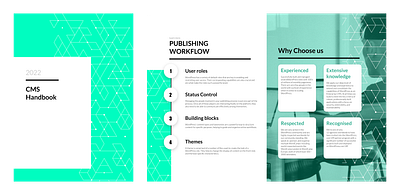 CMS Handbook branding graphic design illustration layout typography