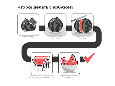 Watermelon infographic graphic design illustration info infographic watermelon