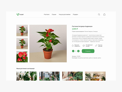 Интернет-магазин - DailyUI 012 012 challenge daily daily challenge dailyui design onlinestore plant ui