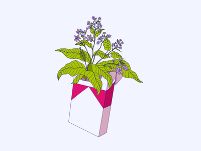 Bright Plant Illustrations graphic design graphic illustration illustration