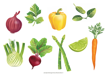 Fruit & Veg adobe illustrator adobe photoshop branding design fruit holland illustration supermarket vega vegan