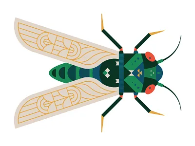 Cicada bug cicada digital illustration illustration insect