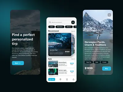 Scandinavian Travel App app black design designer mobile ui ux