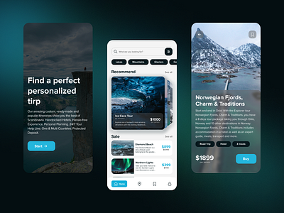 Scandinavian Travel App app black design designer mobile ui ux