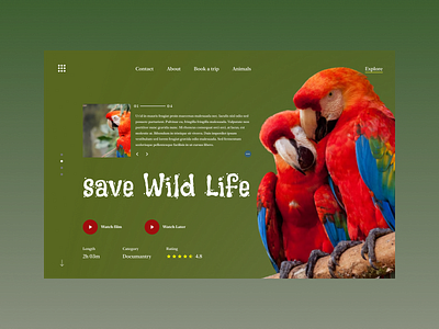 save wild life web design animal animals clean design documentary explore green home homepage jungle nature photo photography trip ui video web wild wild life wildness