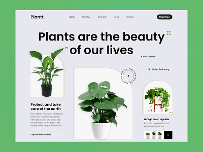 Plant Website Landing Page Design branding clean design green home page landing page design minimal plant website ui ux design uiux website design website header website ui ux