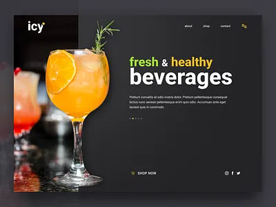 Icy - Web Presentation branding design graphic design homepage landing landing page ui web design