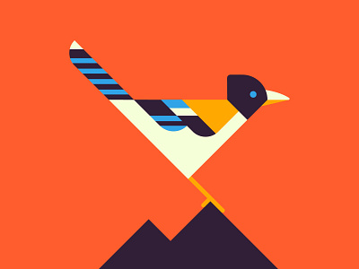 Black-headed Jay bird digital illustration illustration jay