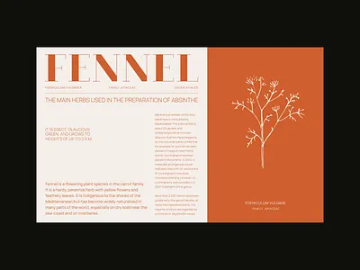 Island Silba Now and Then _ 02 art branding colorful design drawing graphic design illustration layout ui web