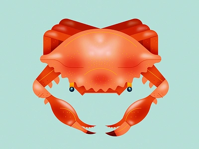 Crab animal claws crab crabby crustacean design gaussian blur illustration illustrator photoshop red sea creature stylized texture vector