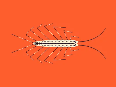 House Centipede bug centipede creepy digital illustration house centipede illustration insect