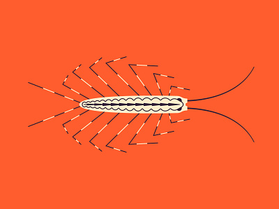House Centipede bug centipede creepy digital illustration house centipede illustration insect