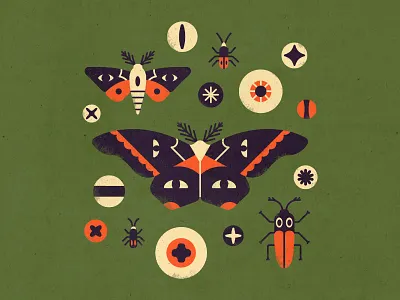 Eyes and Insects bug butterfly digital illustration eye ball eyes illustration insect moth