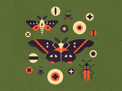 Eyes and Insects bug butterfly digital illustration eye ball eyes illustration insect moth