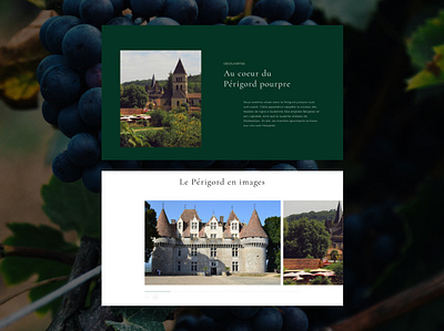 Château Le Tap - Layout ecommerce layout slider travel ui website wine