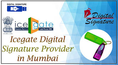 icegate Digital Signature provider in Mumbai dda dgft dsc epf icegate mumbai