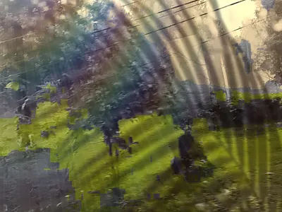 Green grass branding logo