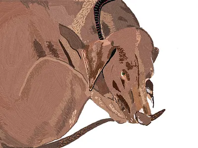 My lovely dog Shon design graphic design icon illustration vector