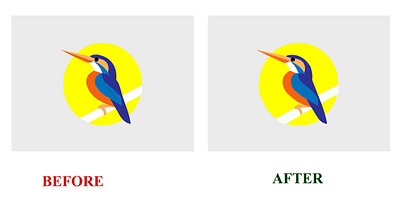 Kingfisher Design for client branding design graphic design illustration logo profesional