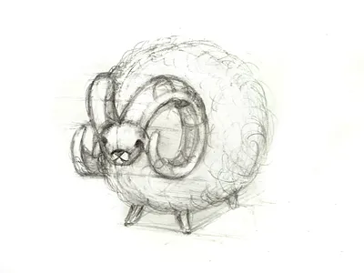 Sketch aries. Zodiac signs animals aries art design graphic design graphics illustration sketch vector zodiac signs