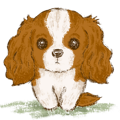 Portrait of a Cavalier King Charles Spaniel animals character dog illustration pets puppy