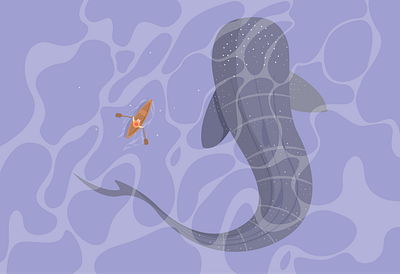 Whale Shark canoe design flat flat design illustration ocean sea vector whale