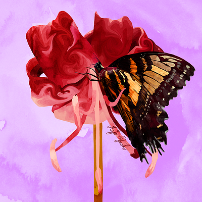 butterfly branding by maja pučko design graphic design illustration