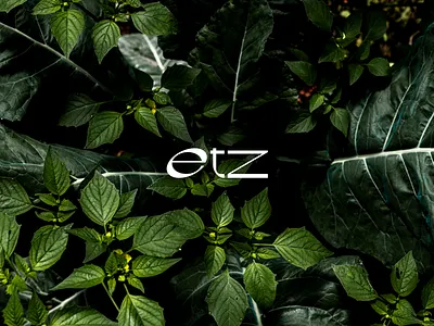 etz albrechtduerer etz food identity restaurant typeface typopgraphy