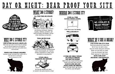 Bear Safety Camping Pamphlet bear design illustration leaflet nature pamphlet safety